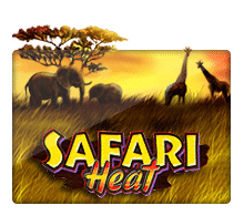 Safari Heat สล็อตเว็บตรง แตกง่าย