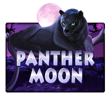 Panther moon เกมสล็อตเว็บตรง แตกง่าย